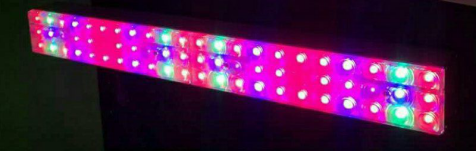 LED plant grow lamps