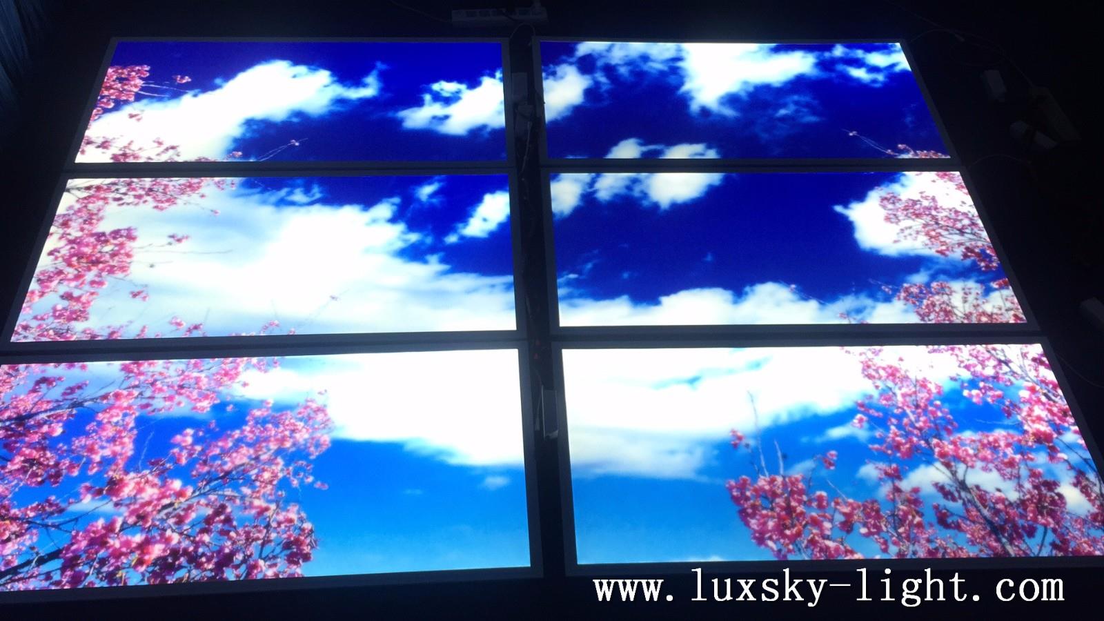 600x1200 scene led panel light.jpg